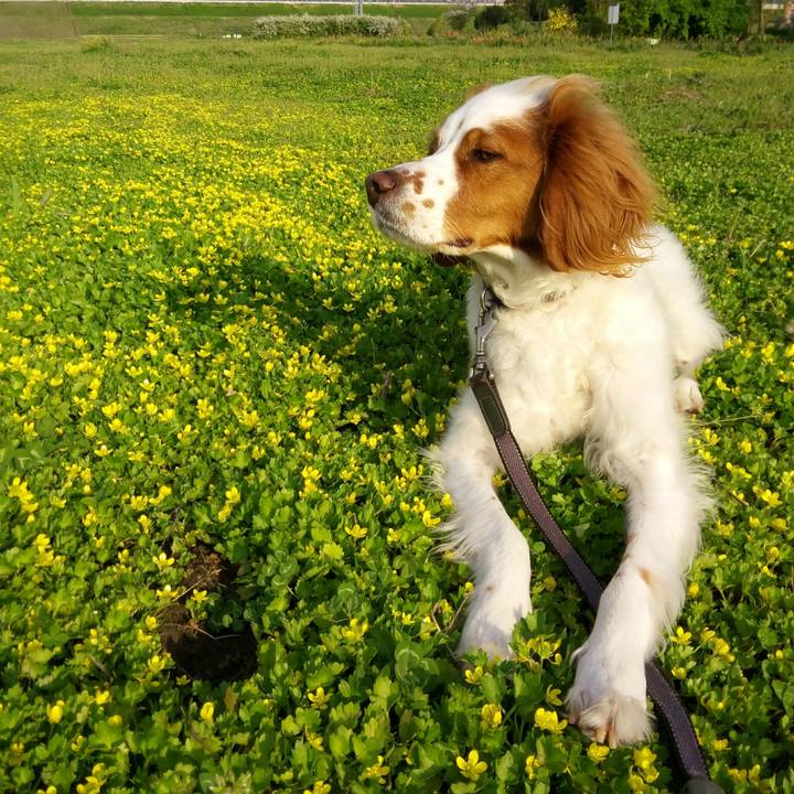 96bbcca2 f68c 44d8 a8dd 2987d7873e26 1522840742081