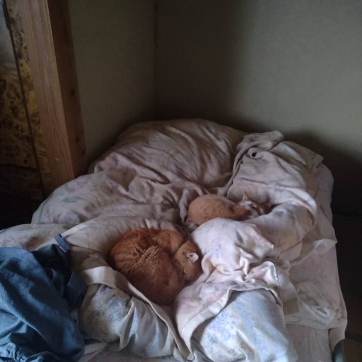 96bbdbdc e625 41ba b6fd 61e27d614109 1761101493388