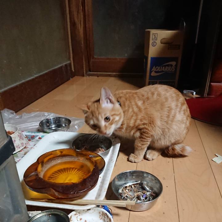 96bbeee1 2e81 49c9 b5b7 d73741da4351 1636056249606