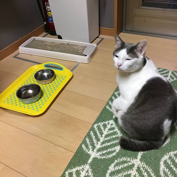 96bc1f2e 9b16 4811 a5b4 13a08d53e5a9 1555290422661