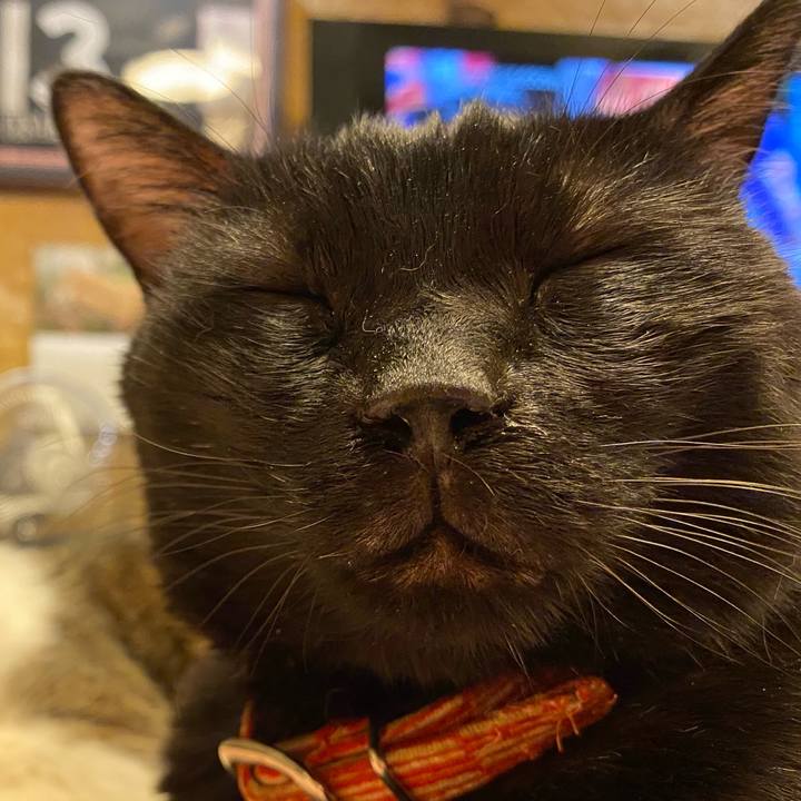 96bc42cf e596 443d 9d3b 1a6cfd94529a 1603889532126