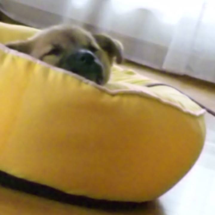 96bc62a0 39ee 492f 8bf3 a5df7ab292b5 1625837752111