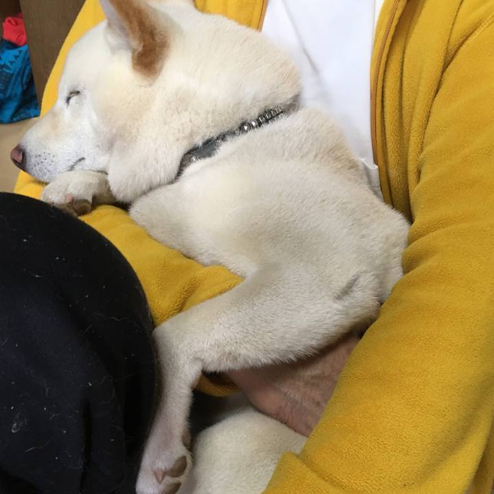 96bc7b94 c2a4 4051 98cd bc41f0503a62 1529805848524