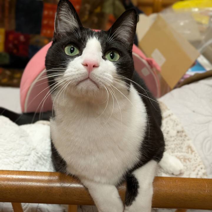 96bc884d 6108 484a a55b 91c3fb683790 1762515169099