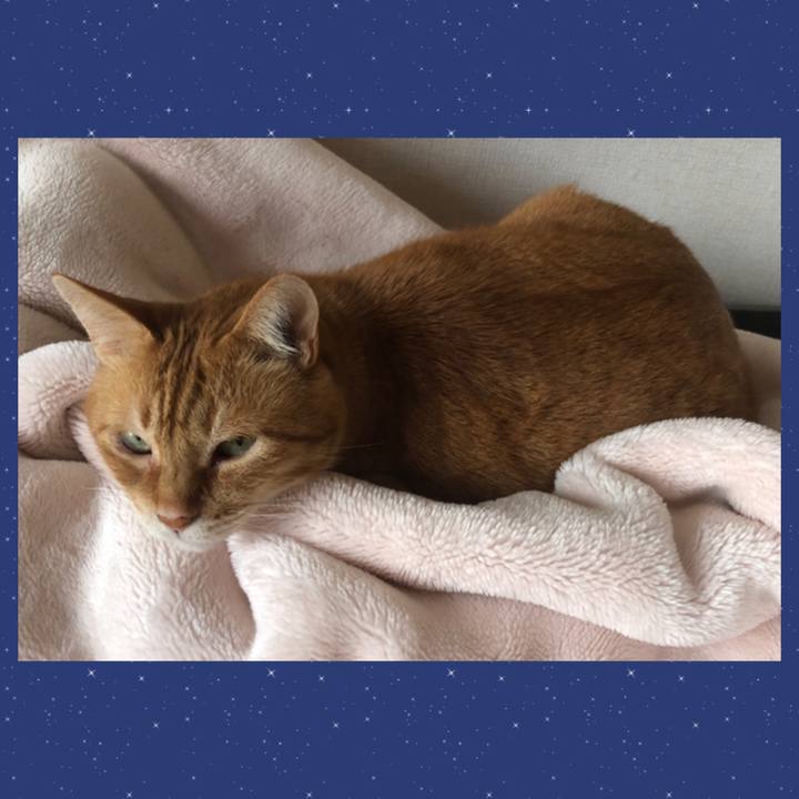 96bc98ba 20ee 4433 8c74 35db3c03d6a5 1655849842384