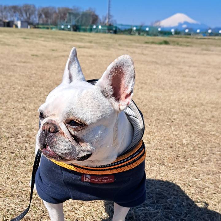 96bc9a09 ca24 4ba4 b216 df62d3c05482 1711096847379