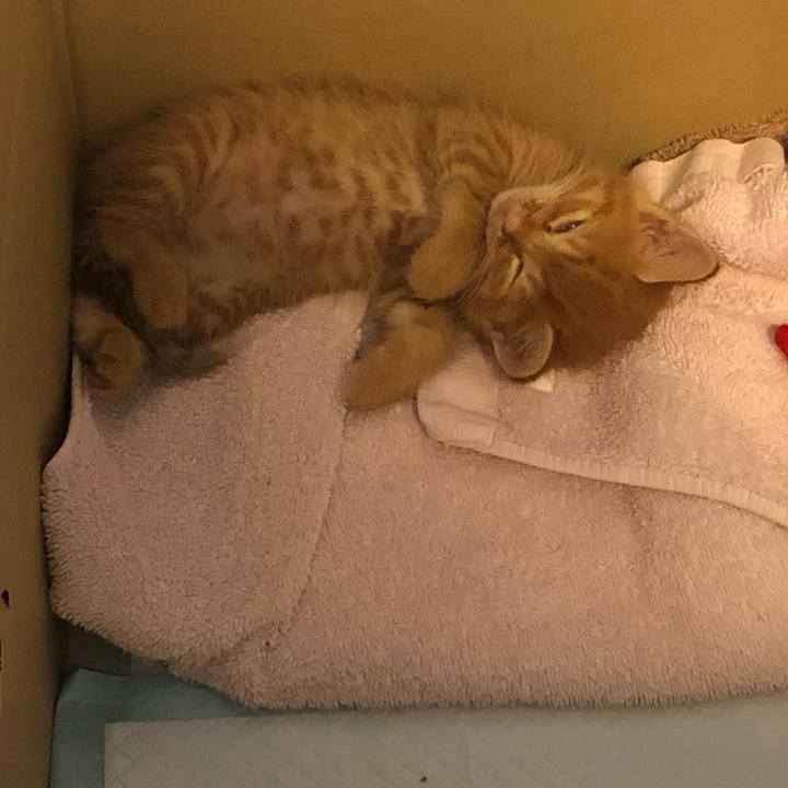 96bcc434 f3eb 49c9 a394 033b3e0f2492 1687324770977