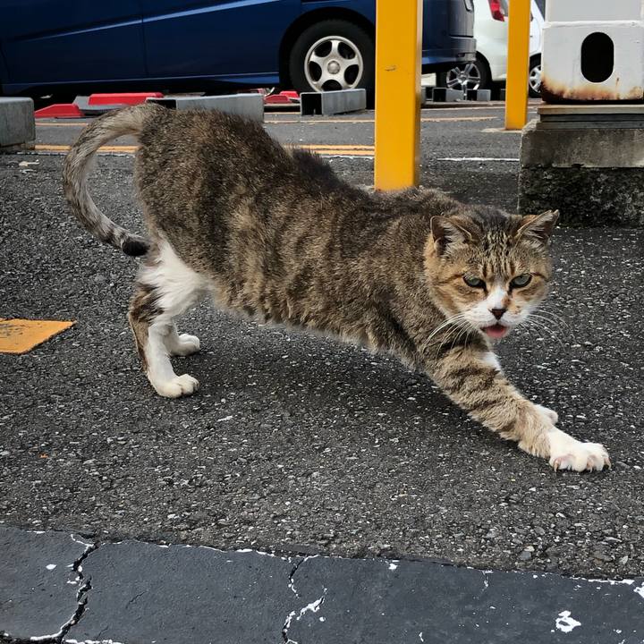 96bcc883 a7bb 496b b620 a53f58c93b42 1542054626376