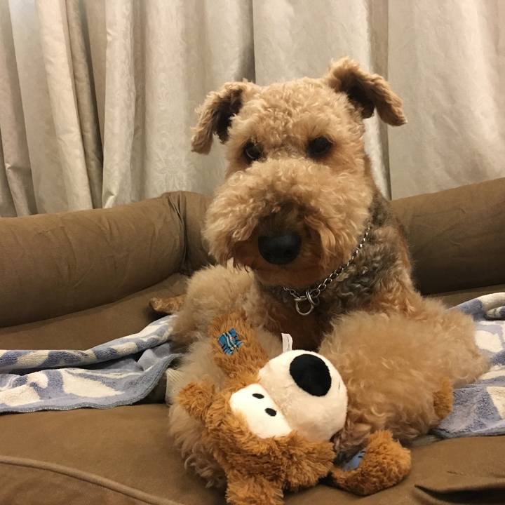 96bccaee 225b 4dce 9399 31cc2773dc96 1538964567733