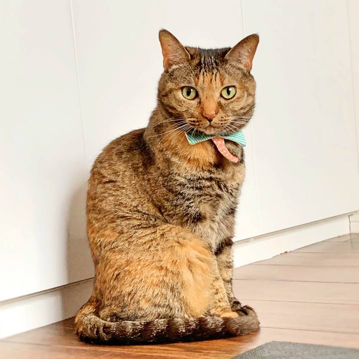 96bccc8e 4076 4cb9 9acf bf3fc9df38ec 1563978656303