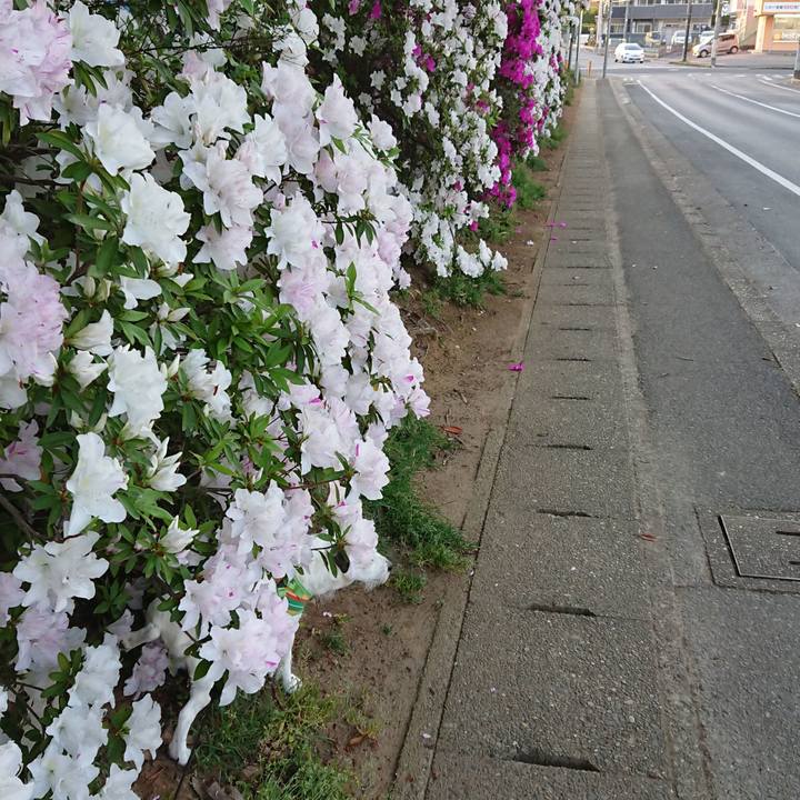 96bd157f 8835 4d00 be72 63a3ffbb6b0c 1524439324988