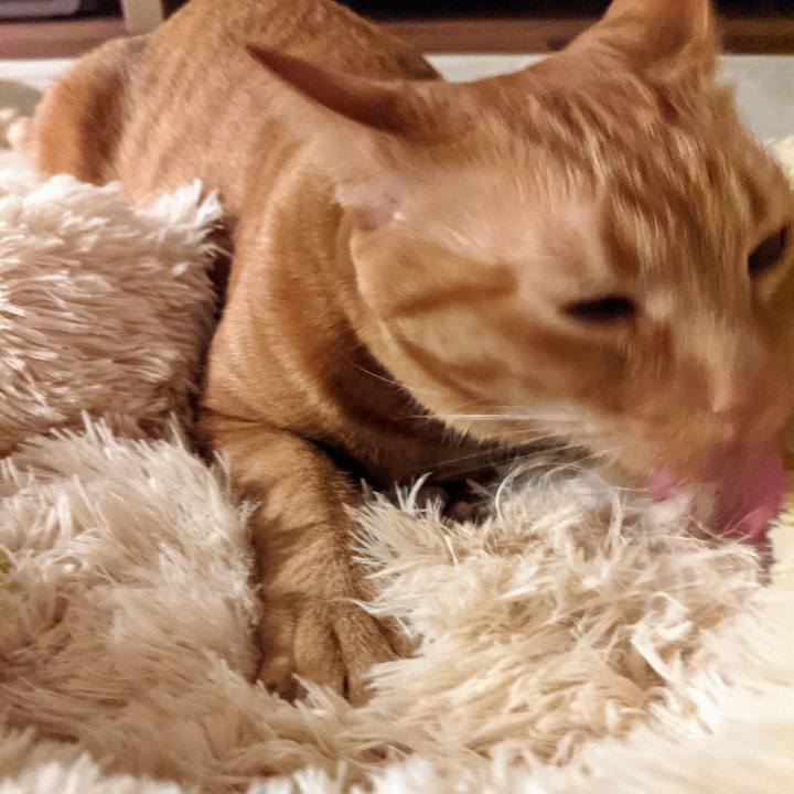 96bd43dd c2e1 4786 9a42 fd84a96f9580 1618831931279