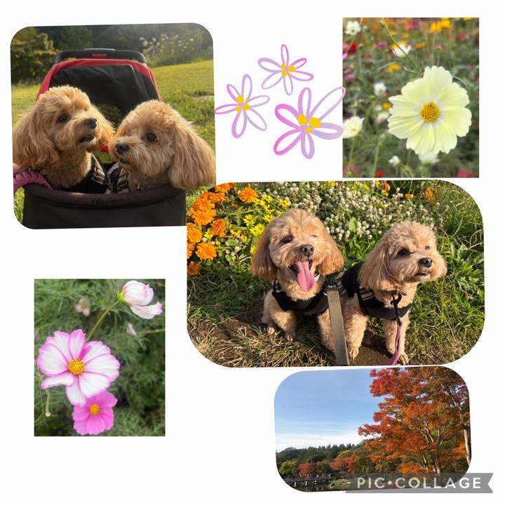 96bd57a5 3d01 4a9c 99a8 0179fc650c86 1762096929665