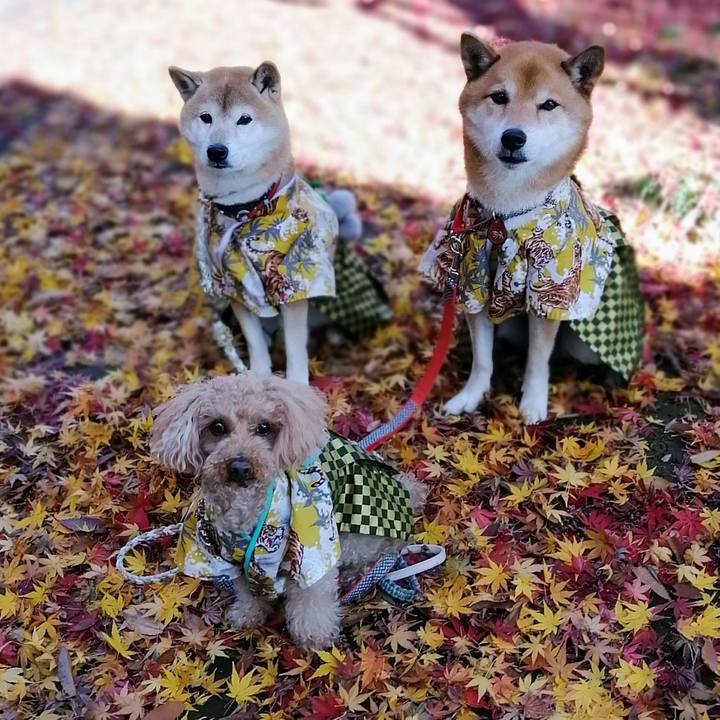 96bd5b83 a7e7 4816 8547 01220852c5c5 1639054351699