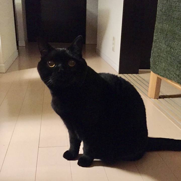 96bd7684 fce9 4ab0 b772 0b5a811b407f 1543926229741