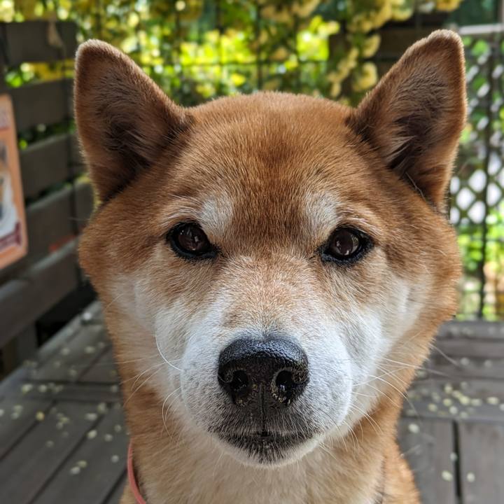 96bd91f6 990d 42ca 90da 2e6c485d301f 1714033548623