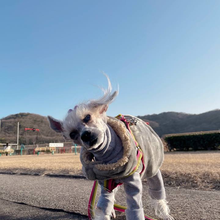 96bdadfe 9b71 4197 a646 59f7aca16875 1771839938253