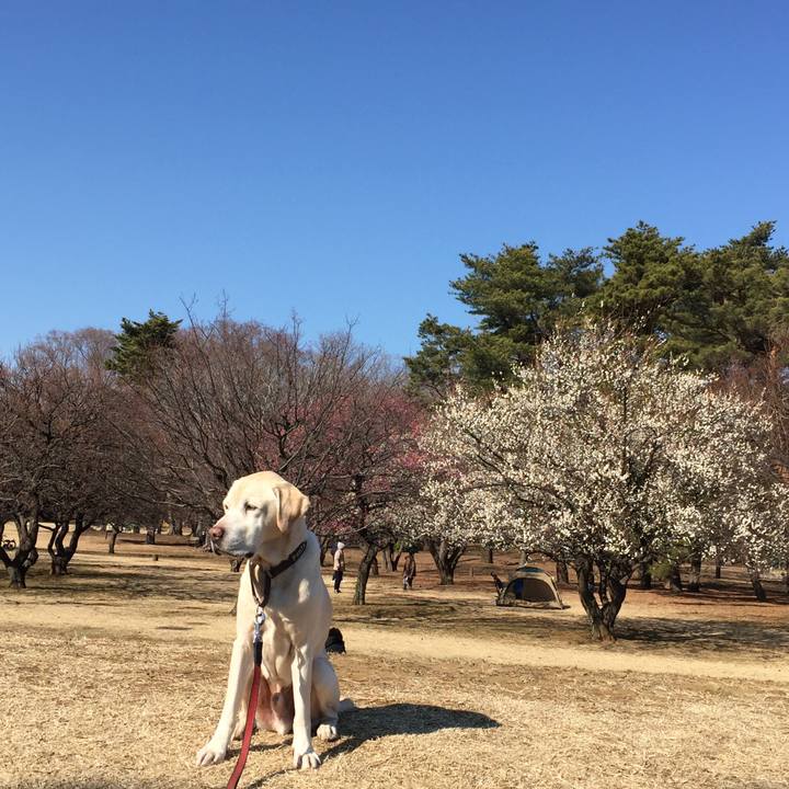 96bdb278 d83f 4500 a6d7 d0a43a3386aa 1550400880477