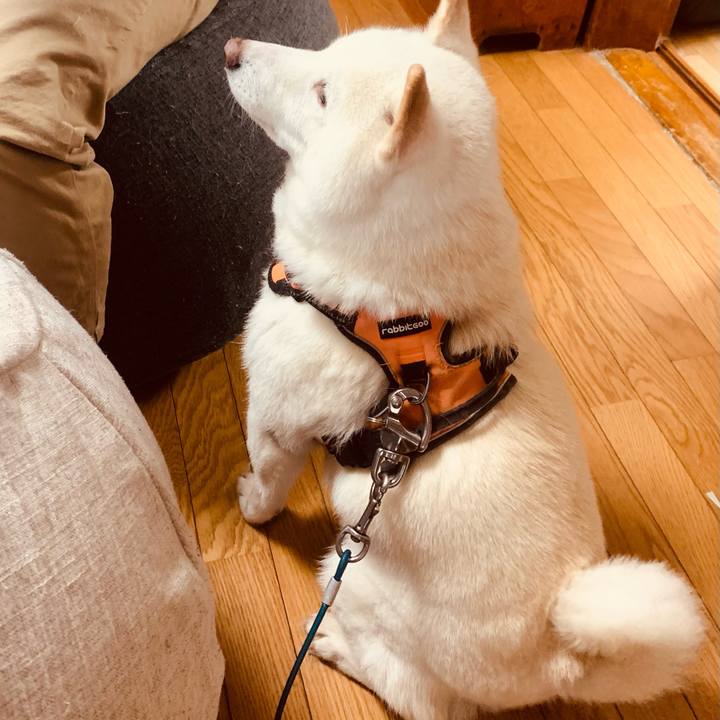 96bdbac5 9b84 4260 aa53 5802d4464060 1669275838133