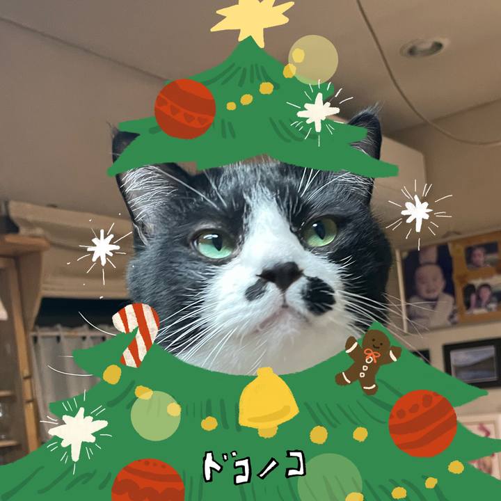 96bde592 0d7b 4006 8681 b634572851f4 1761215345268