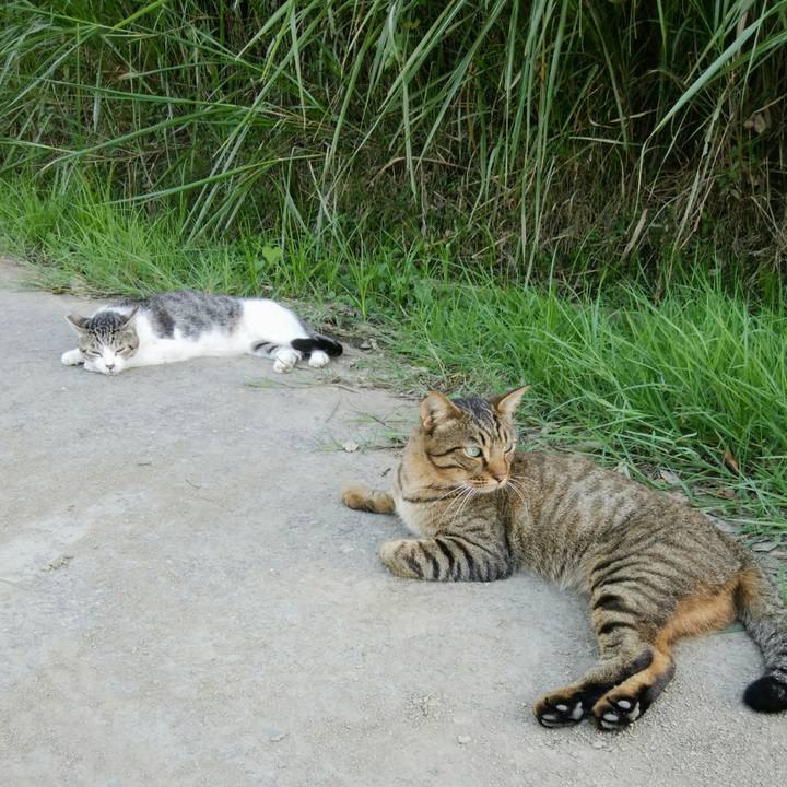 96be3b0a cdc6 4b57 83b6 228c6db02522 1534592413031