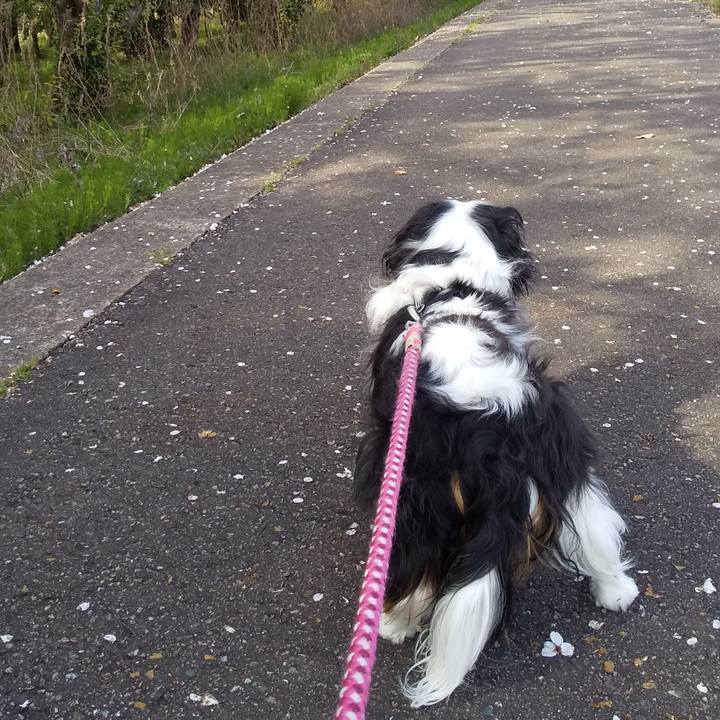 96be486f 51e2 4eee 9045 7dd9e0e9f3b1 1586612576451