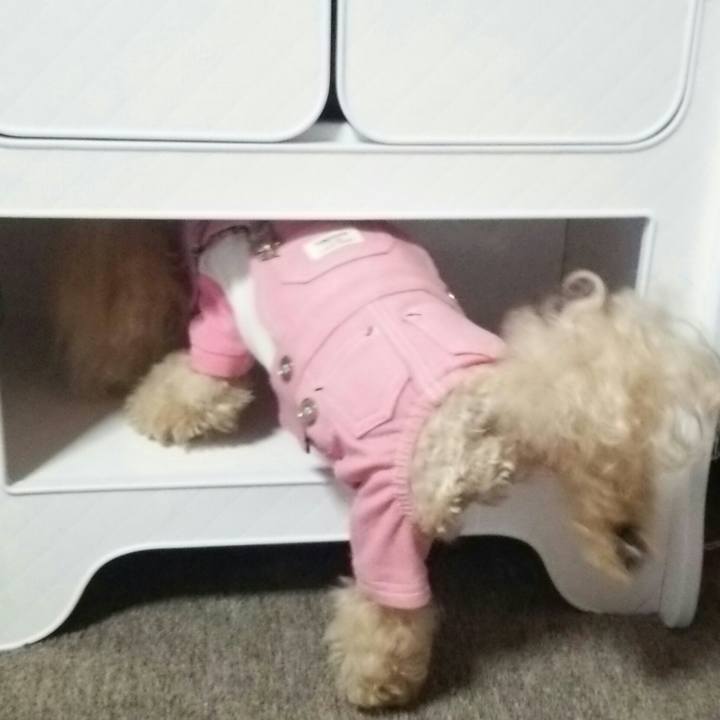 96be87bd c3d9 49bf b557 5962b6545979 1561031133956