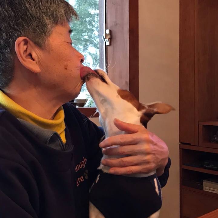 96be943a 6f96 4827 a827 47f010e0671c 1515057668338