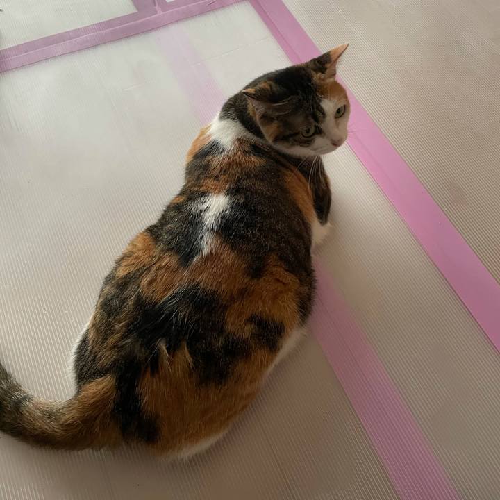 96bec9db 451b 44bc 8c5c bf5981b9448b 1624607707712