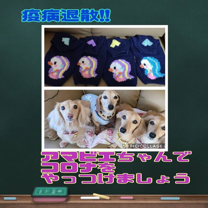 96bece10 c4fd 4900 9ca3 9ca420e44682 1634561769584
