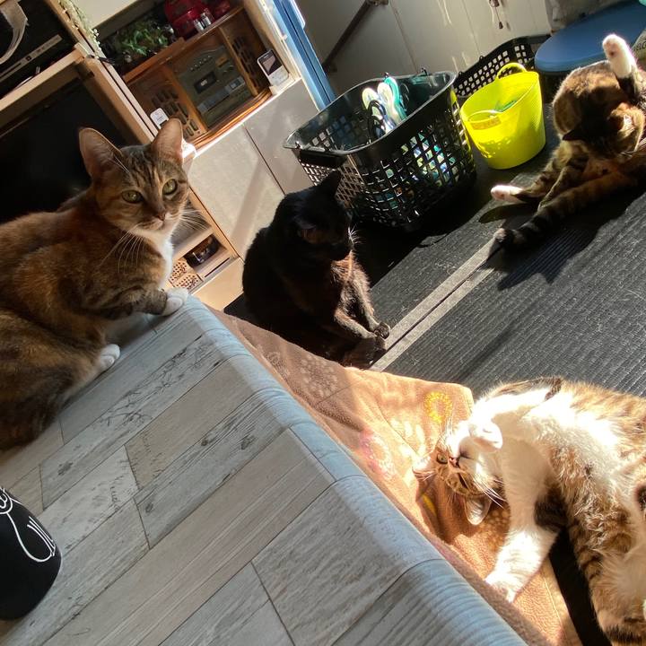 96bef1e4 3838 48ca 91cd 8148fb7a3ee9 1579488753743