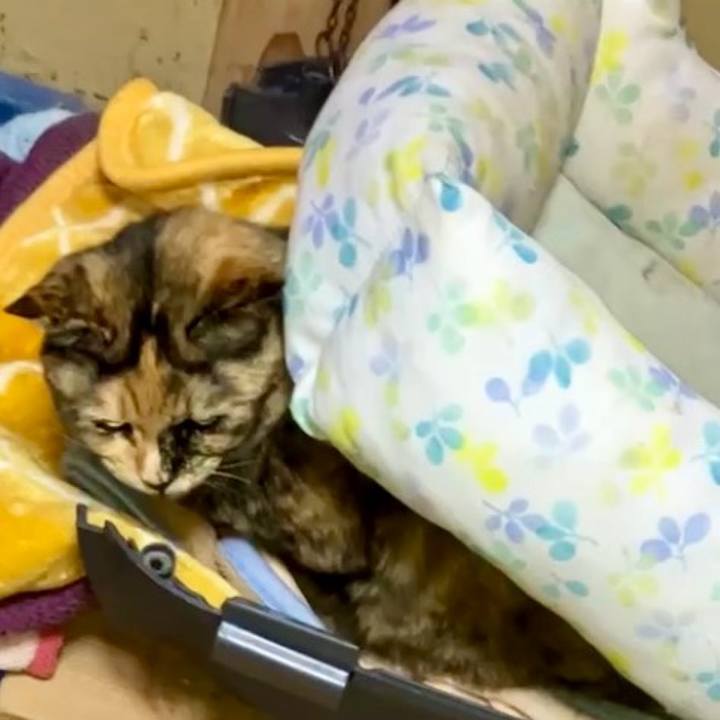 96bf085a 0a9a 49dc b917 39c7c7decb9e 1734897551294