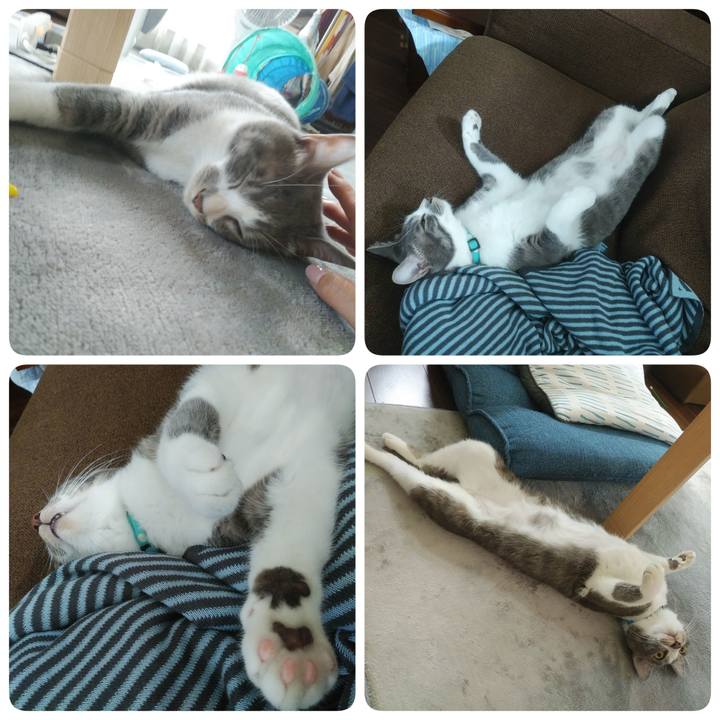 96bf3f69 0c7d 44c1 86a4 dbc249d67089 1591841711834