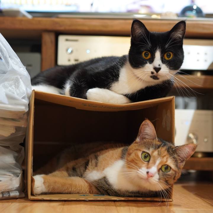 96bf6a69 b537 4d36 bd84 cdef4c942d6e 1631369728785