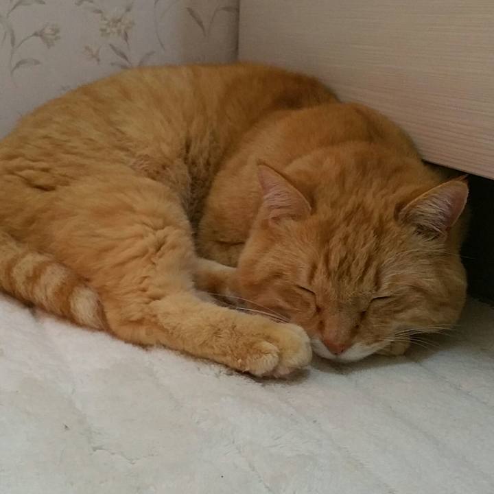 96bf7556 75fc 4f11 98b2 8ebd19750ca2 1579272141529