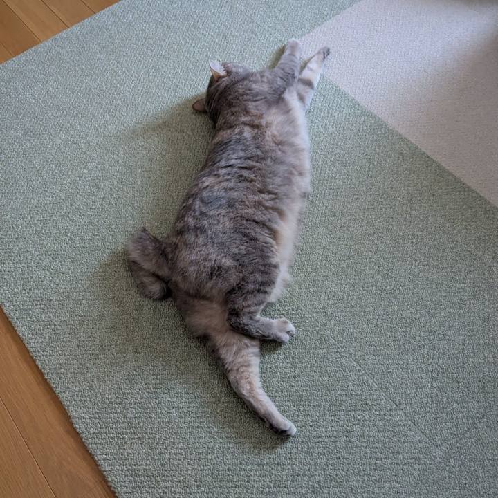 96bfa35e 7bb5 4113 aa86 c2b3fe74470e 1763710774215