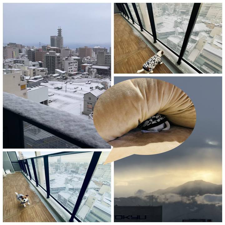 96bfba8d d1cc 43d8 b757 96b3868cc225 1738711118012