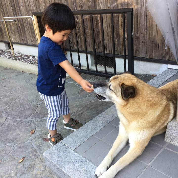 96bfc30f 4eb5 4f81 b659 7af9cfa6fbb3 1528083352551