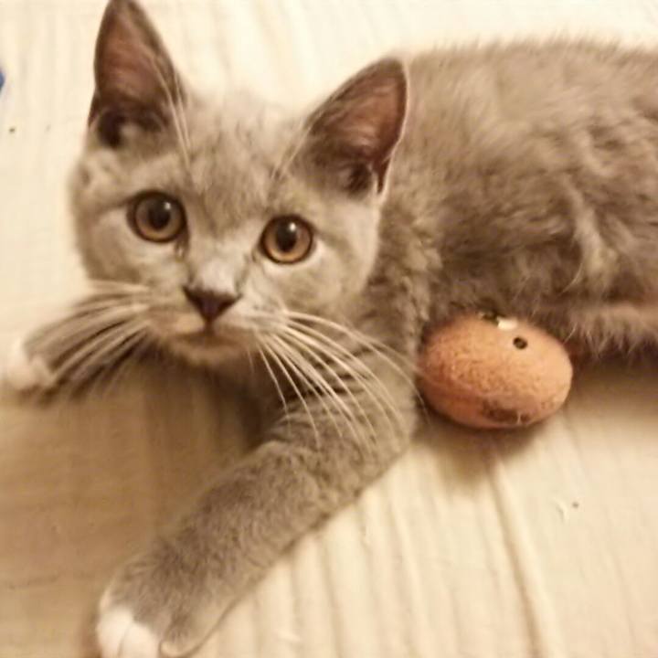 96bfc6d7 5f90 4144 9f2c e76e93998257 1532175089802