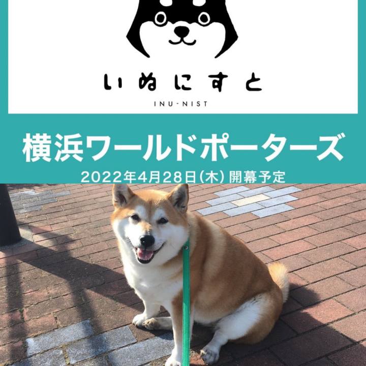 96bfd8cb efe5 418b 8ae2 223ea709985e 1649838366340