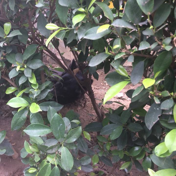 96c025aa 7ab1 41ba 8ee5 d00ca5133d04 1527128176340