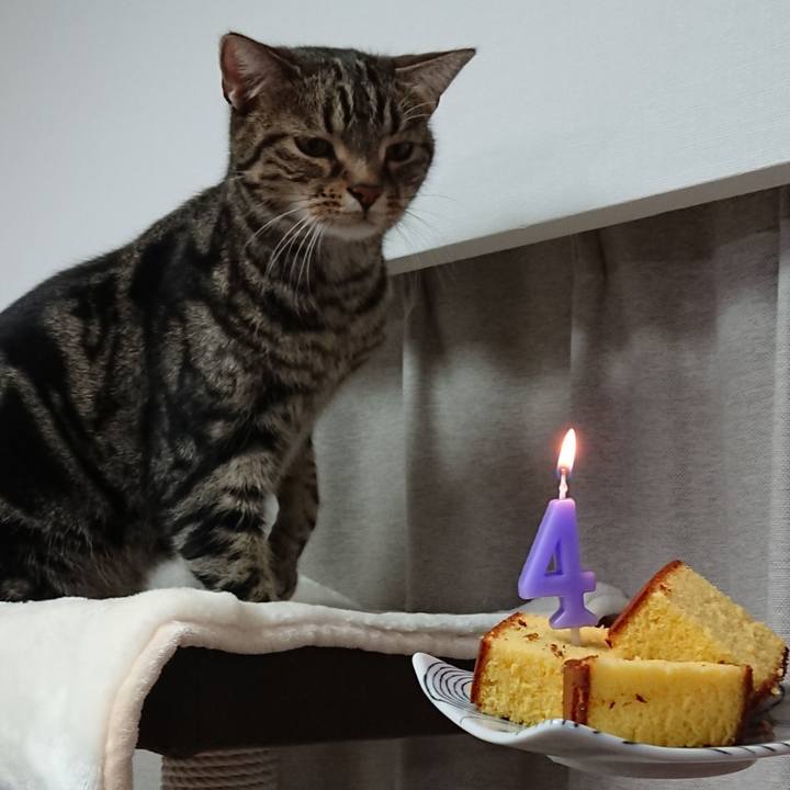 96c0563e a57b 4033 a591 fd75579ae233 1551350675306