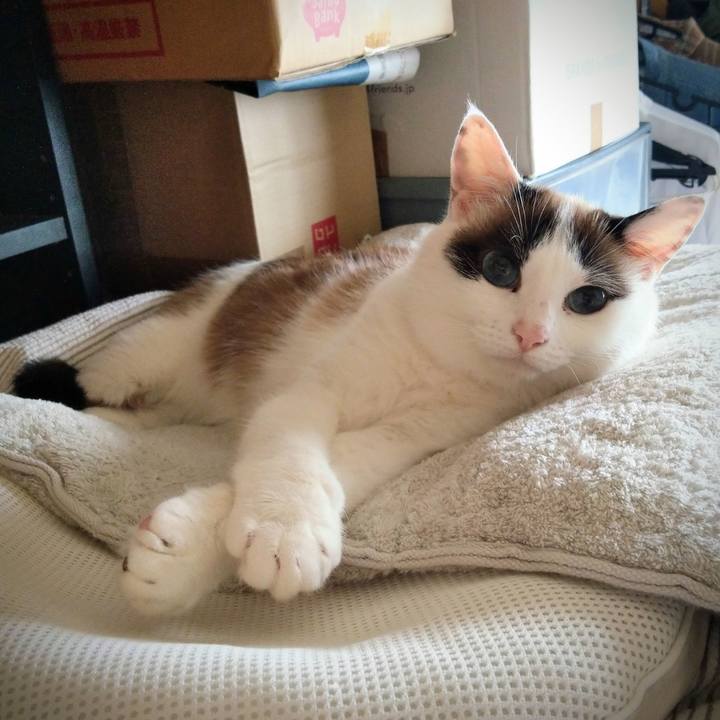 96c06932 26a4 4fc3 a4a7 b3f0a4ce4870 1719614018744