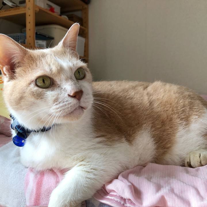 96c0723b 42f7 4c2a 8be2 dbe849901189 1561164932878