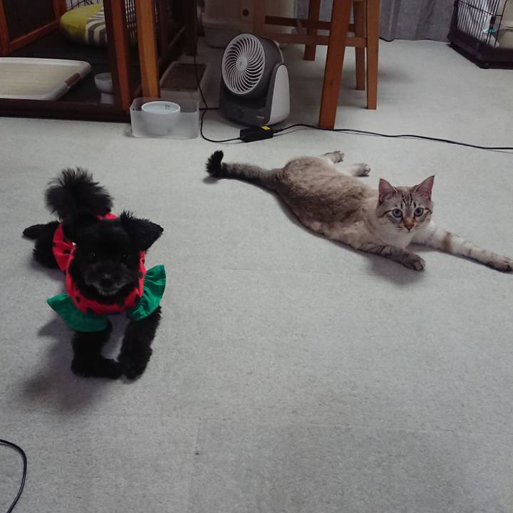 96c0c105 1626 4436 9add 6ccf17452666 1567849663947