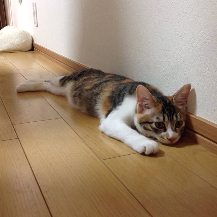 96c11be7 0e4e 474f b7d2 df056089dfb8 1630207425258