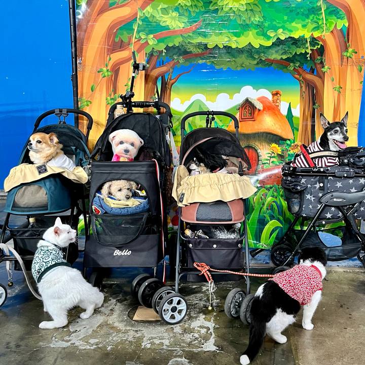 96c16a0a b888 4e20 95c8 22fb9185a1dd 1651661767104