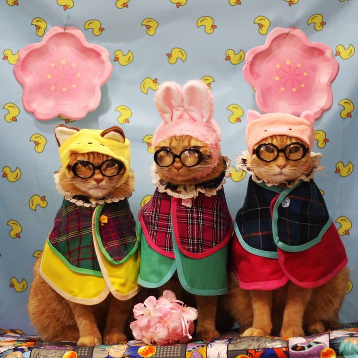 96c197d2 2a2f 4a29 8953 3534eaf96047 1614849799082