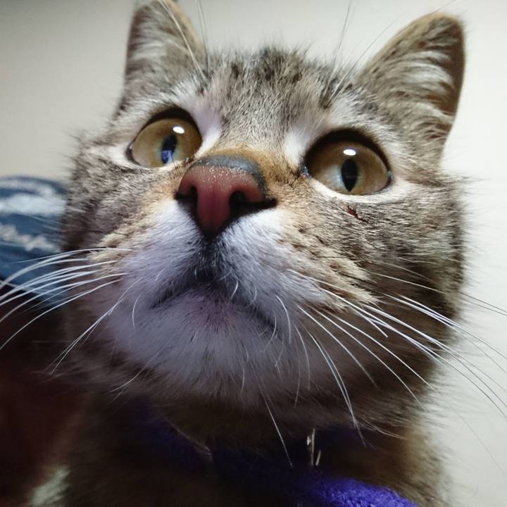 96c19943 a03e 42be ba15 3e28659a61ba 1555416426726