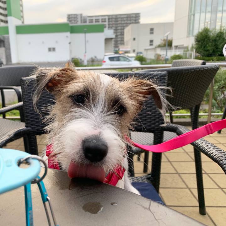 96c1b946 5afe 4960 a019 15887c5a1fec 1569757578781